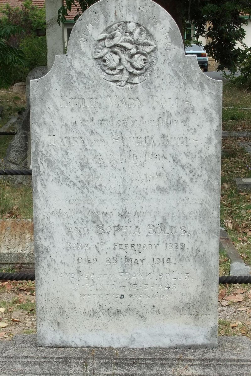 BOLUS Sophia 1829-1914 :: BOLUS Ethel Mary 1866-1890 :: BOLUS Frank 1870-1945