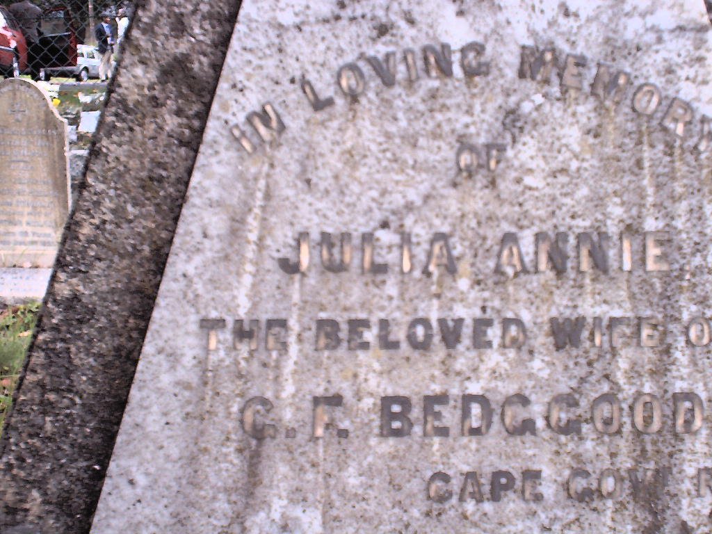 BEDGGOOD Julia Annie 1833-1893