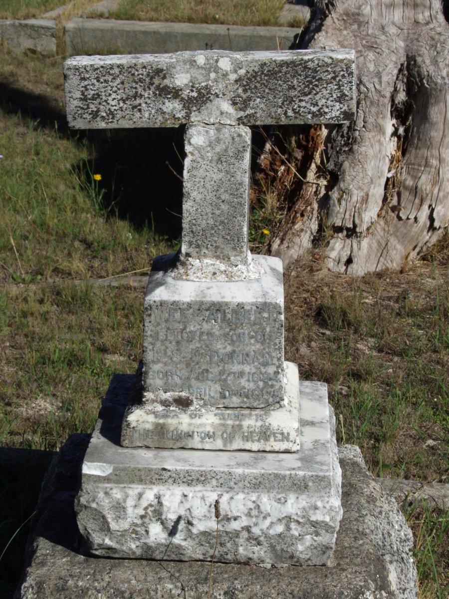 DONNAN Albert 1884-1885