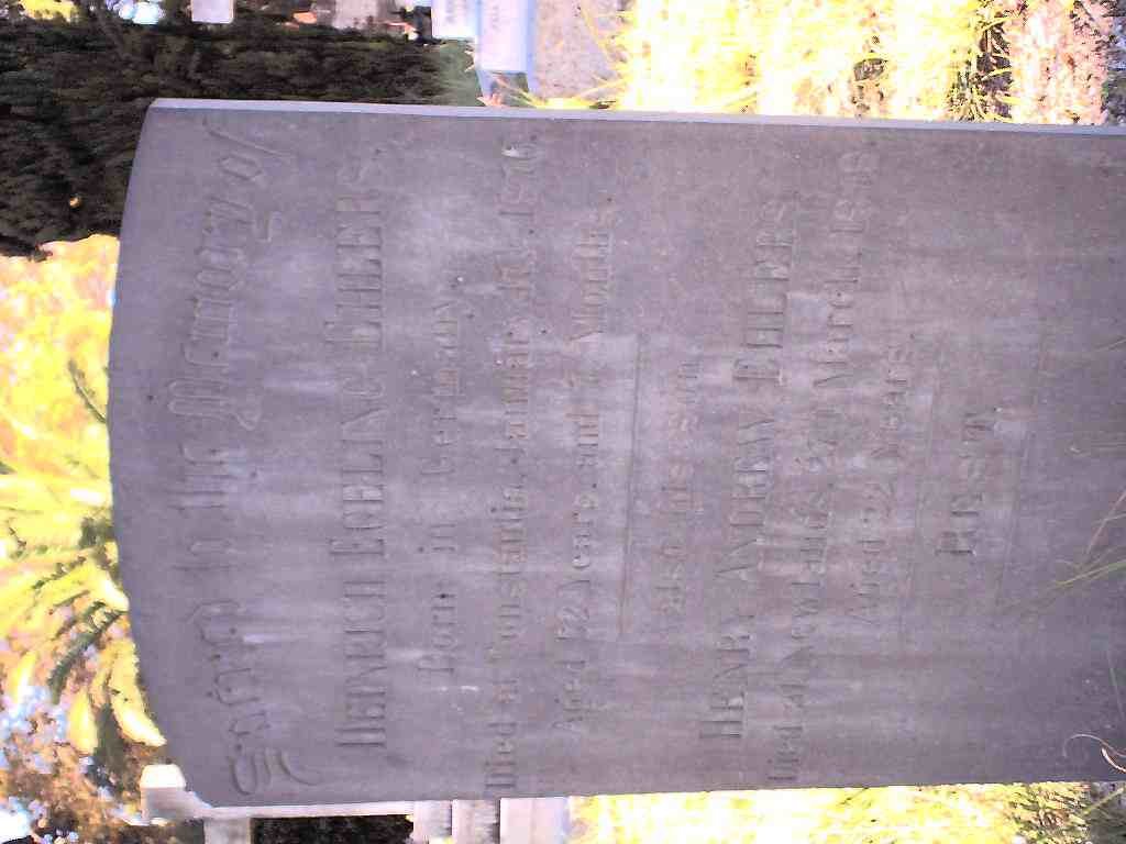 EHLERS Heinrich Egeling 1814-1876 :: EHLERS Henry Andrew -18?6