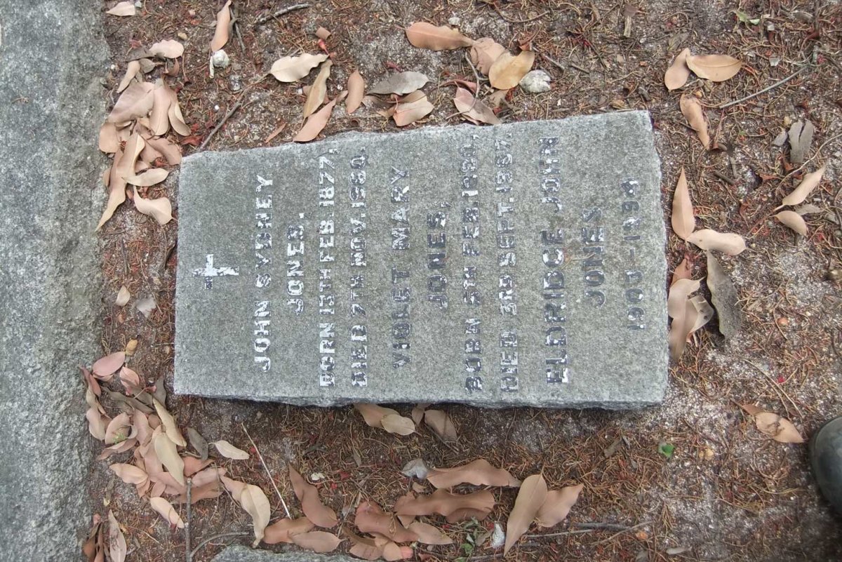 JONES John Sydney 1877-1960 &amp; Violet Mary 1880-1967 :: JONES Eldridge John 1903-1994