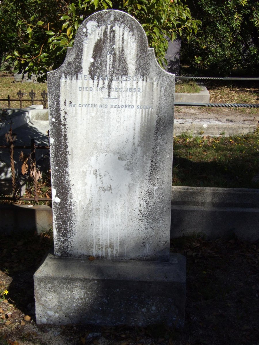 LIESCHING Ann Helena -1892