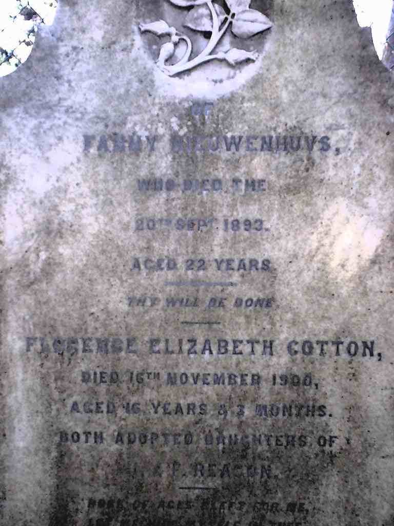 NIEUWENHUYS Fanny 1871-1893 :: COTTON Florence Elizabeth nee REAGON 1884-1900