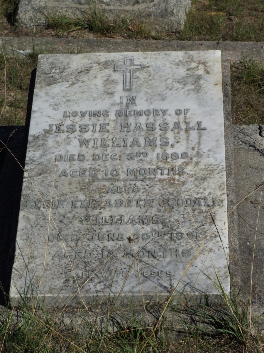 WILLIAMS Jessie Hassall -1888 :: WILLIAMS Elsie Elizabeth Goodall -1891