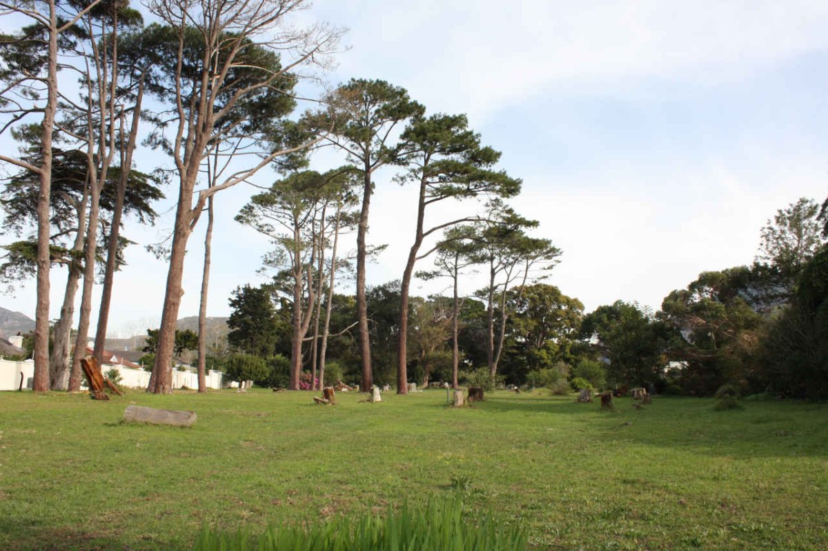 2. Overview