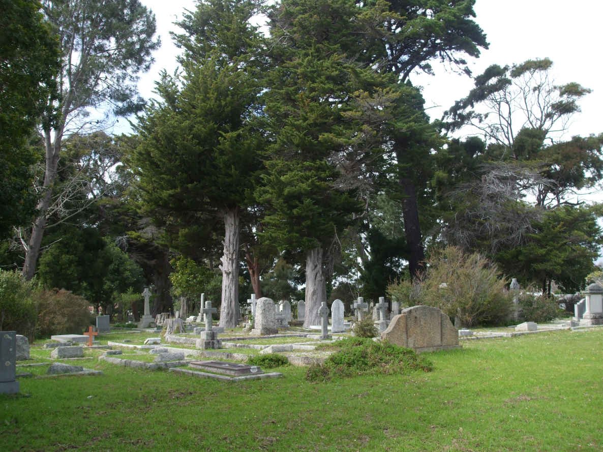 1. Overview