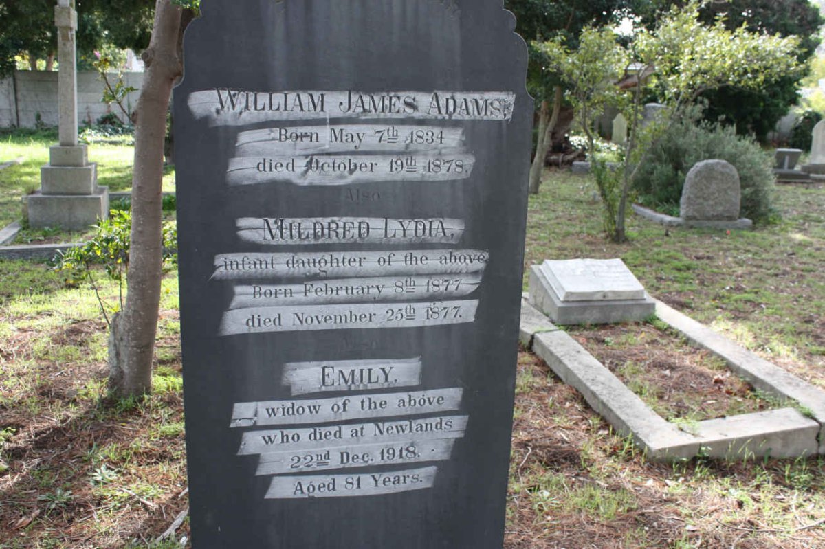 ADAMS William James 1834-1878 &amp; Emily -1918 :: ADAMS Mildred Lydia 1877-1877
