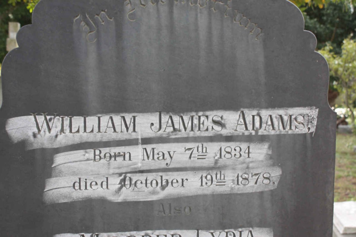 ADAMS William James 1834-1878