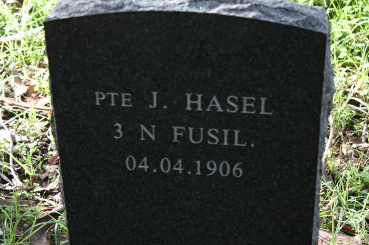 HASEL  J.  -1906
