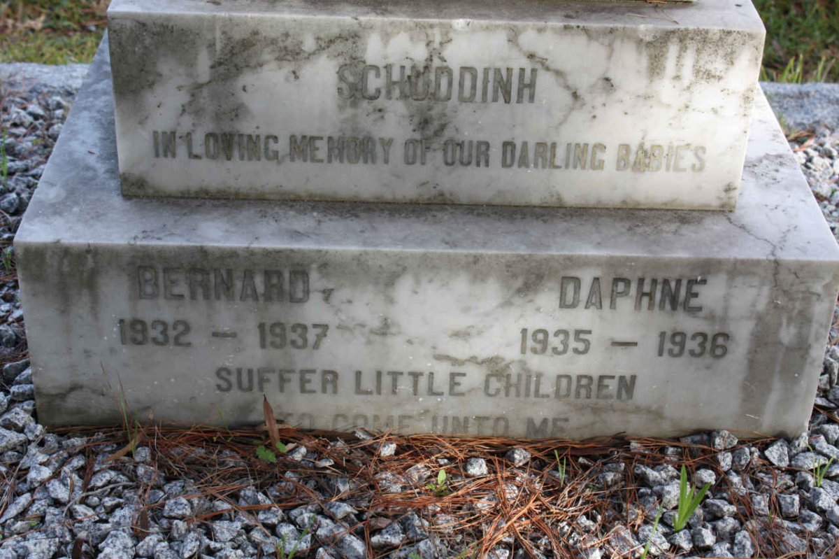 SCHUDDINH Bernard 1932-1937 :: SCHUDDINH Daphne 1935-1936