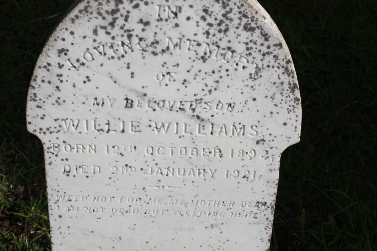 WILLIAMS Willie 1892-1921