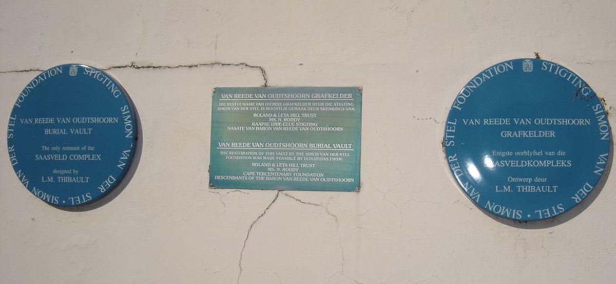 2. Plaque