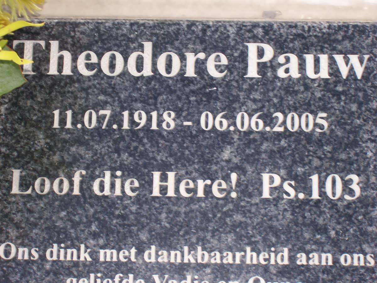 PAUW Theodore 1918-2005