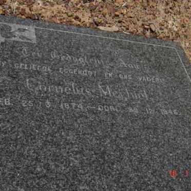 LAUBSCHER Cornelius Mechiel 1874-1946