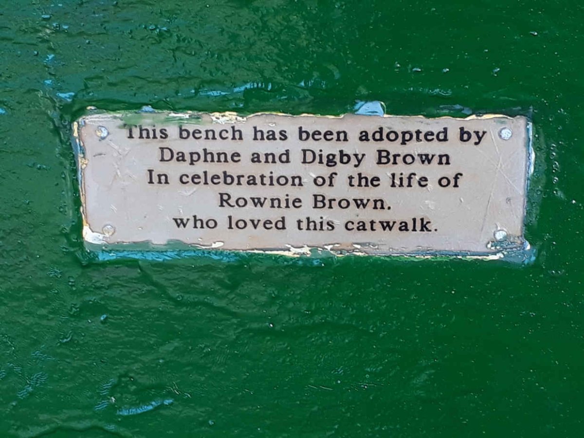 BROWN Rownie