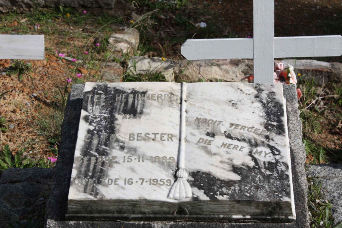 BESTER Cato 1889-1959