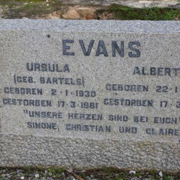 E - Surnames :: Vanne - E