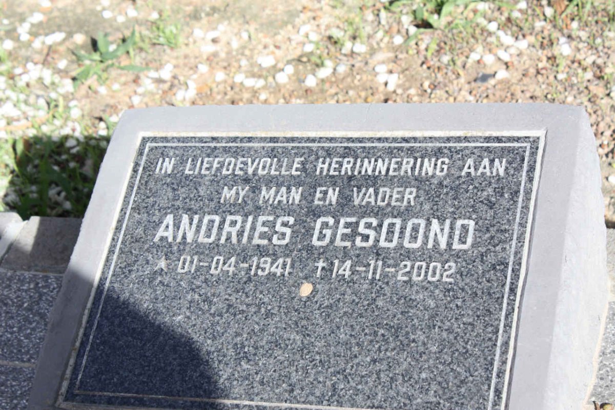 GESOOND Andries 1941-2002