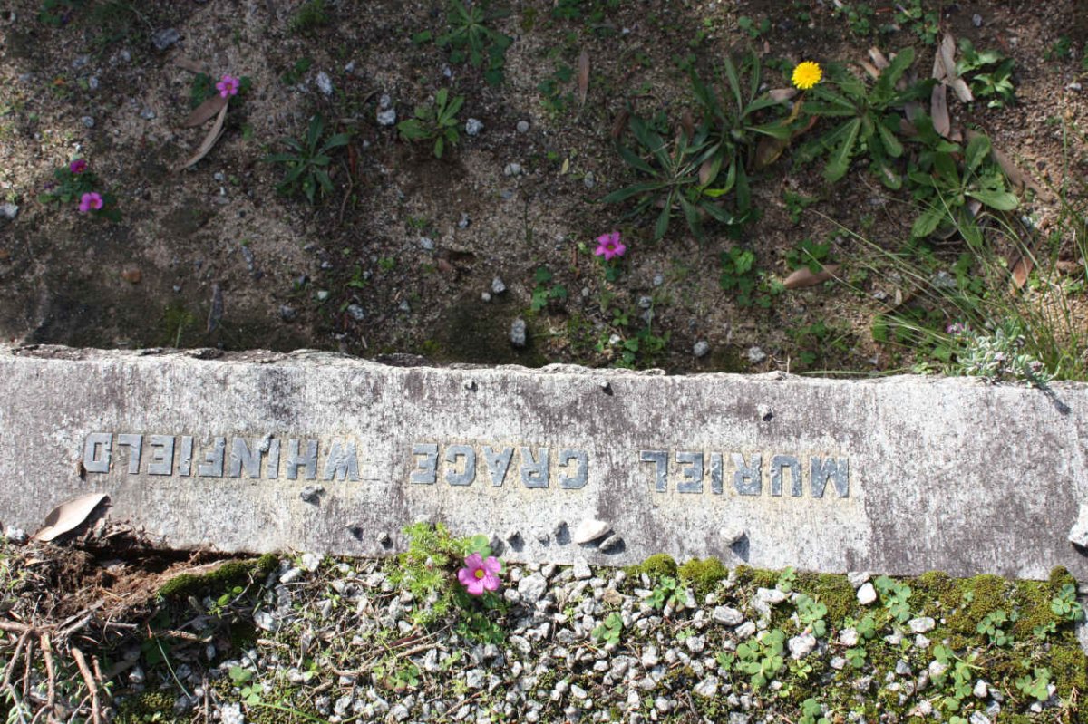WINFIELD Muriel Grace 