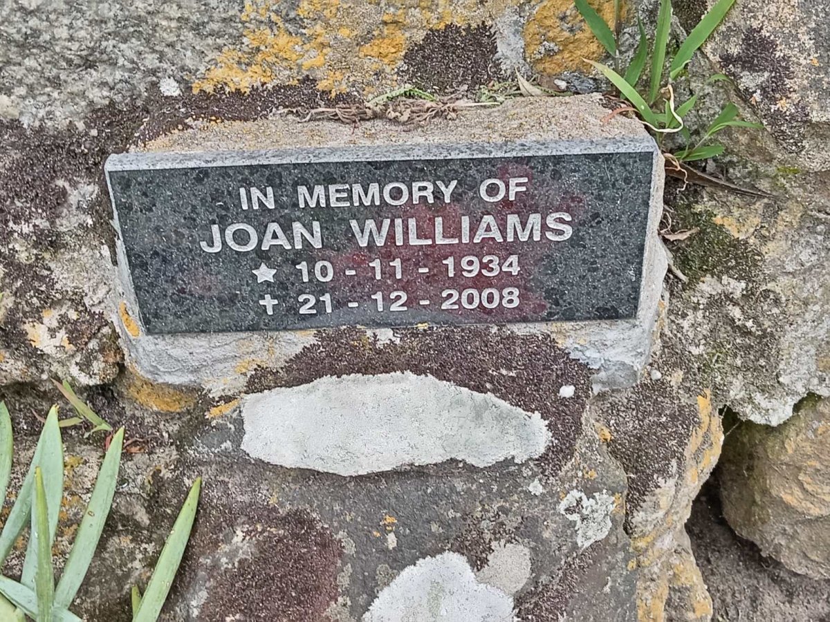 WILLIAMS Joan 1934-2008