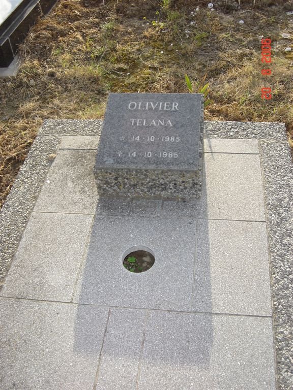 OLIVIER Telana 1985-1985