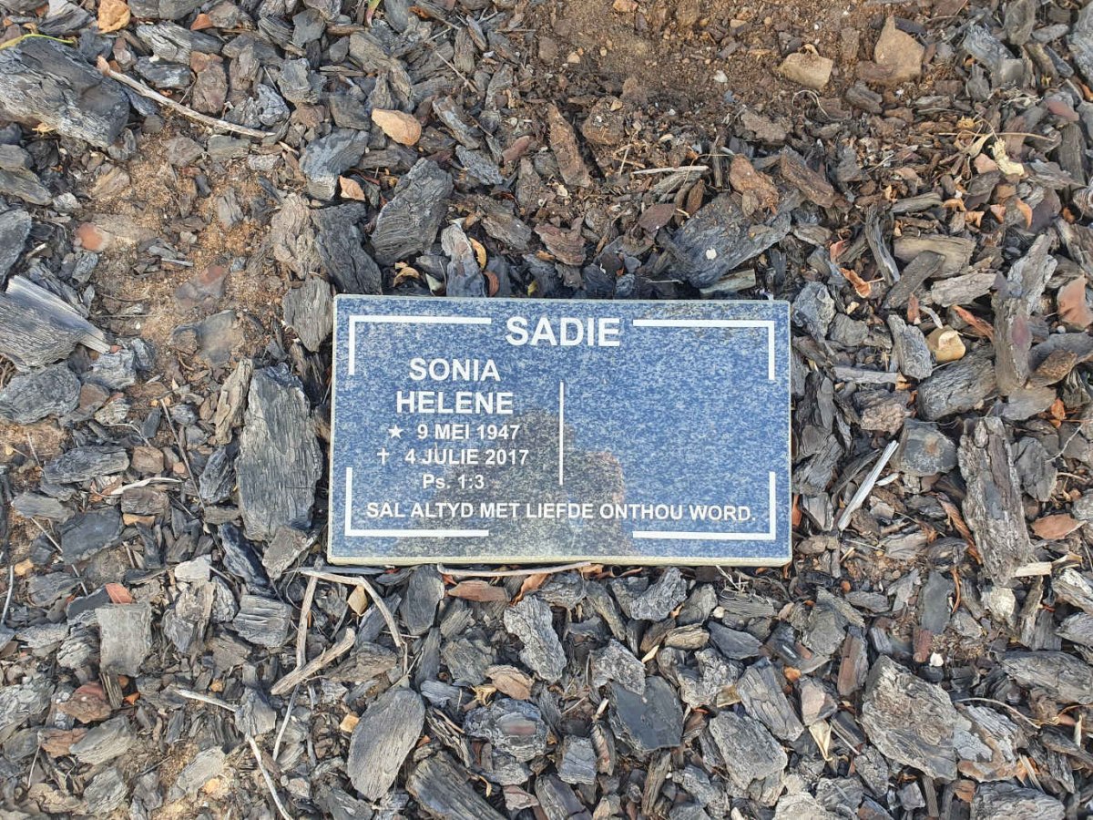 SADIE Sonia Helena 1947-2017