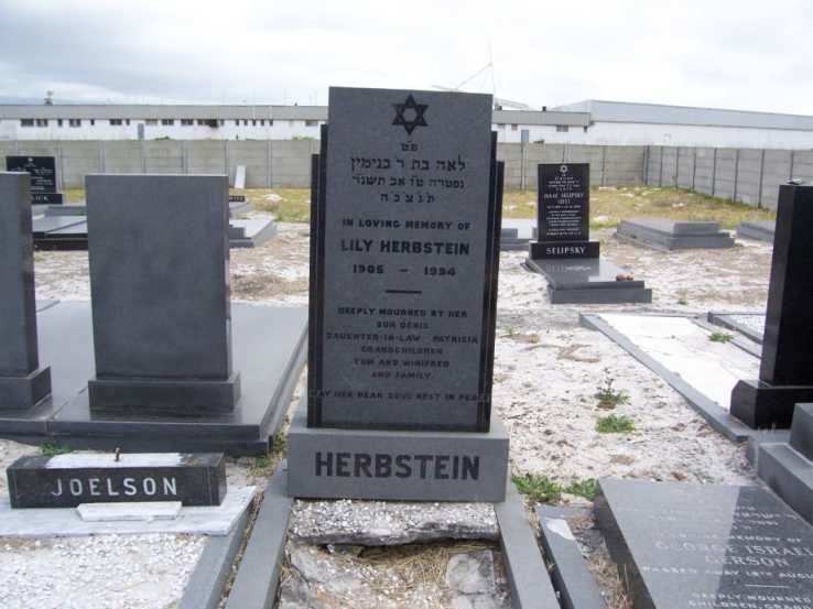 HERBSTEIN Lily 1905-1934 