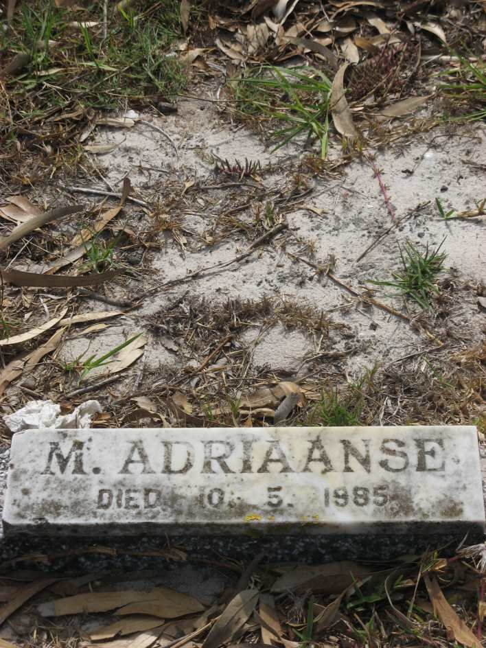 ADRIAANSE M. -1985