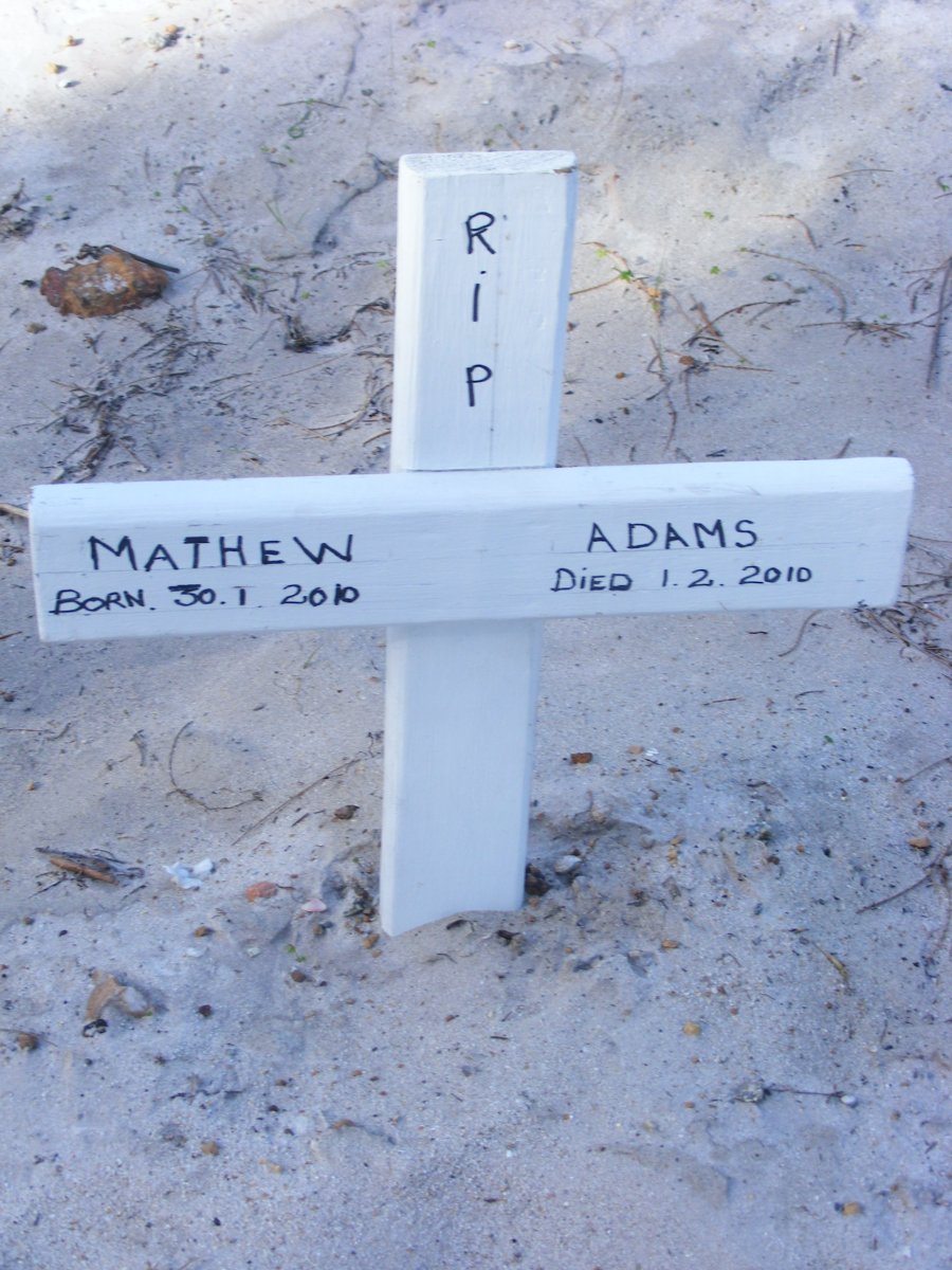 ADAMS Mathew 2010-2010