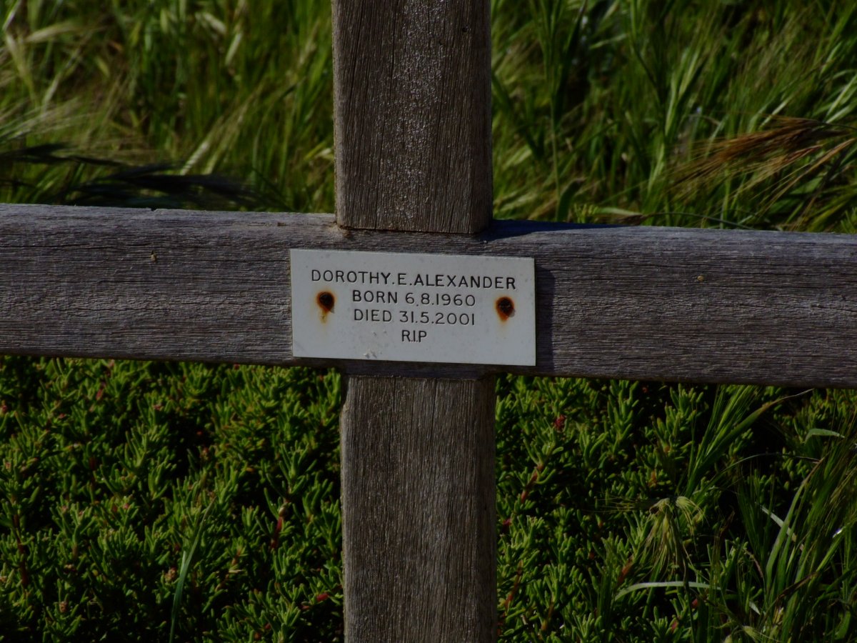 ALEXANDER Dorothy E. 1960-2001