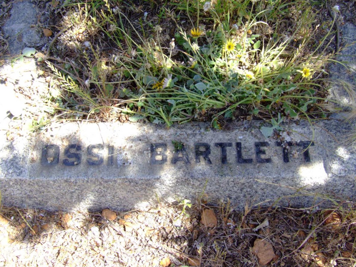 BARTLETT Ossie