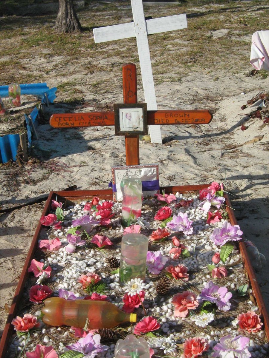 BROWN Cecelia Sophia 1965-2009