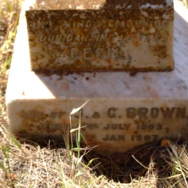 BROWN Cecil 1903-1907