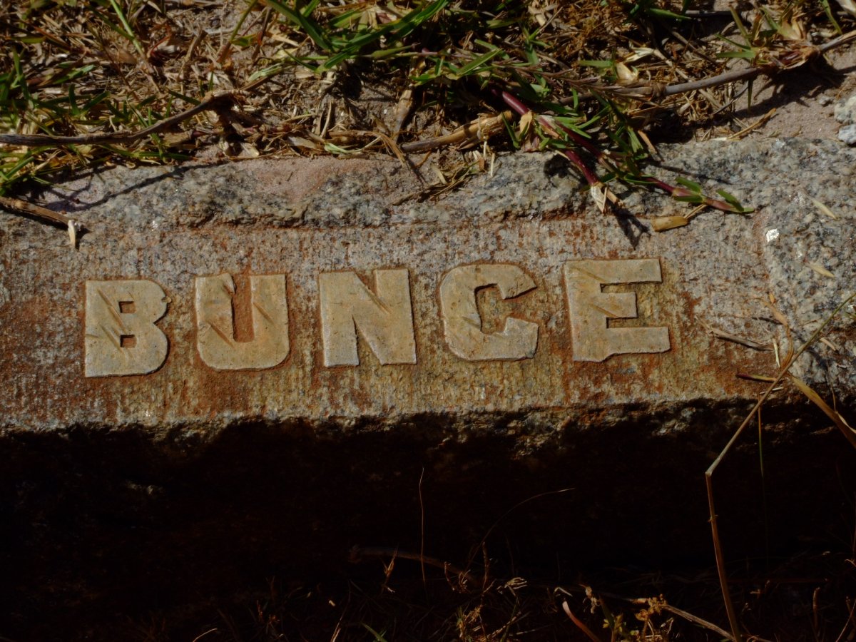BUNCE ?