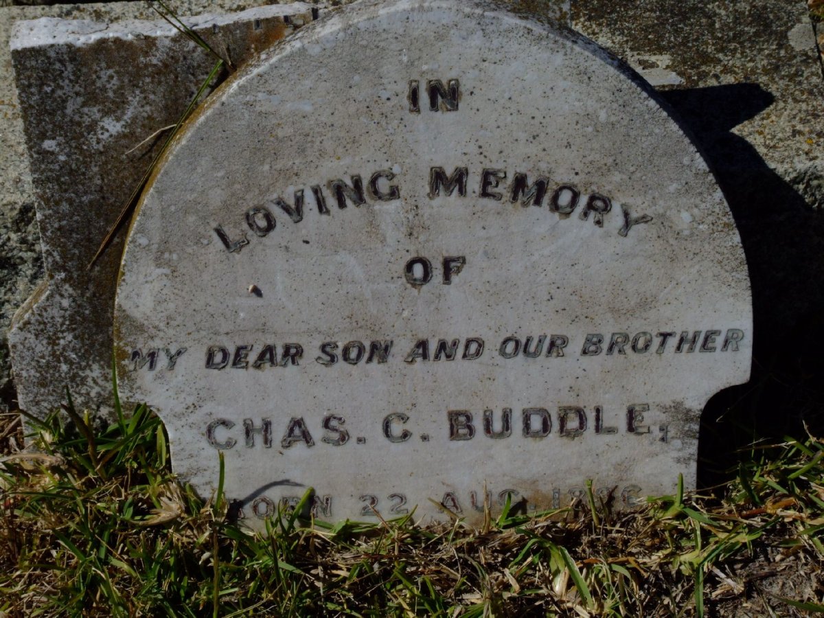 BUDDLE Chas. C. 1895-