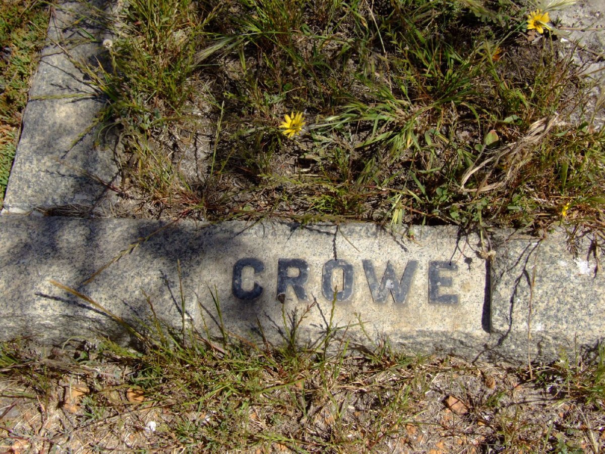 CROWE ?