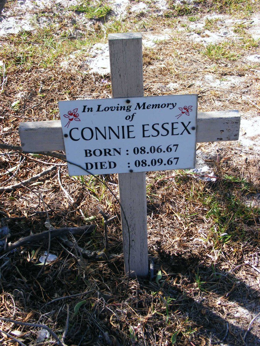 ESSEX Connie 1967-1967