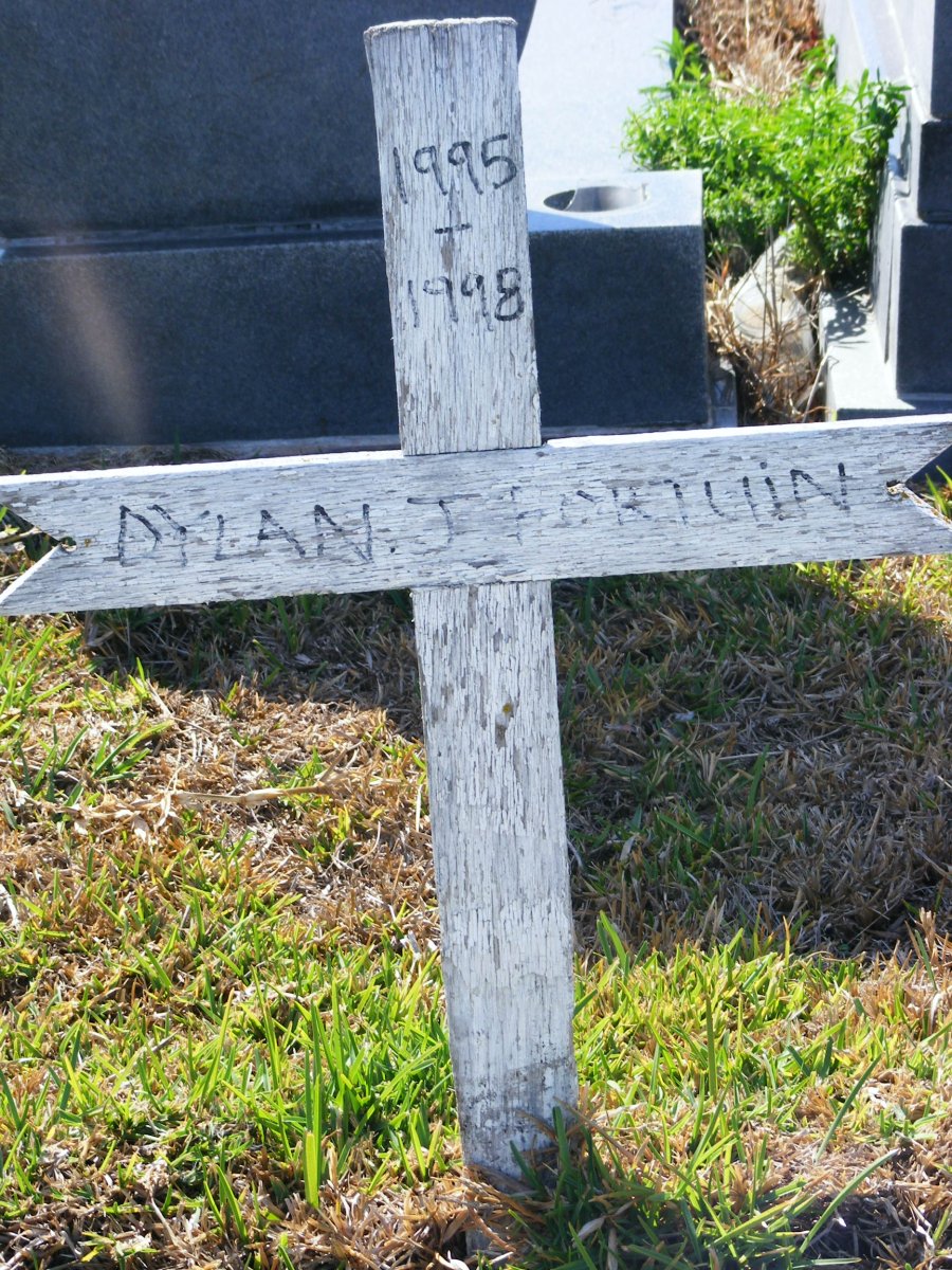 FORTUIN Dylan J. 1995-1998