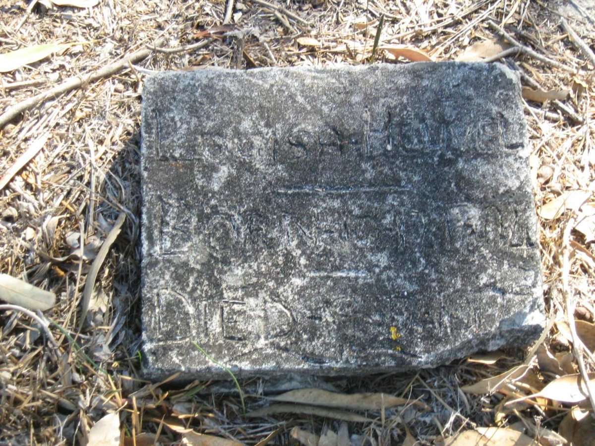 HEUVEL Louisa