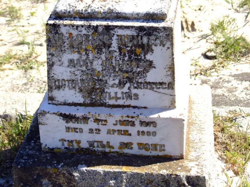 HOLLINS Mary C? 1879-1880