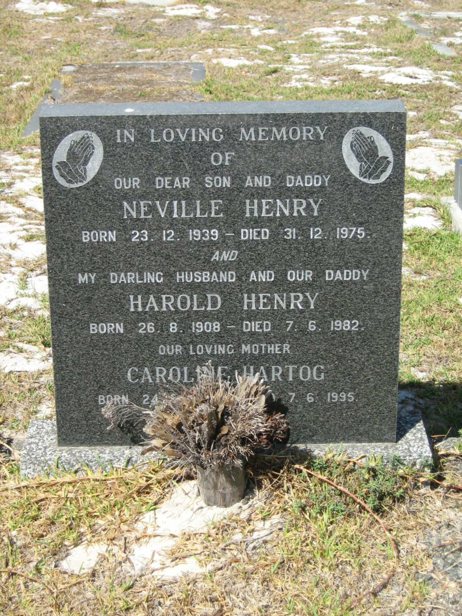 HENRY Harold 1908-1982 :: HENRY Neville 1939-1975 :: HARTOG Caroline ?-1995