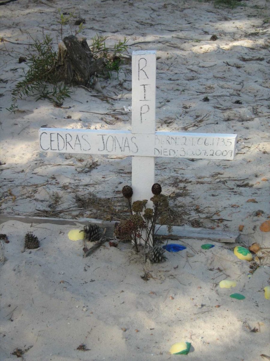JONAS Cedras 1935-2009