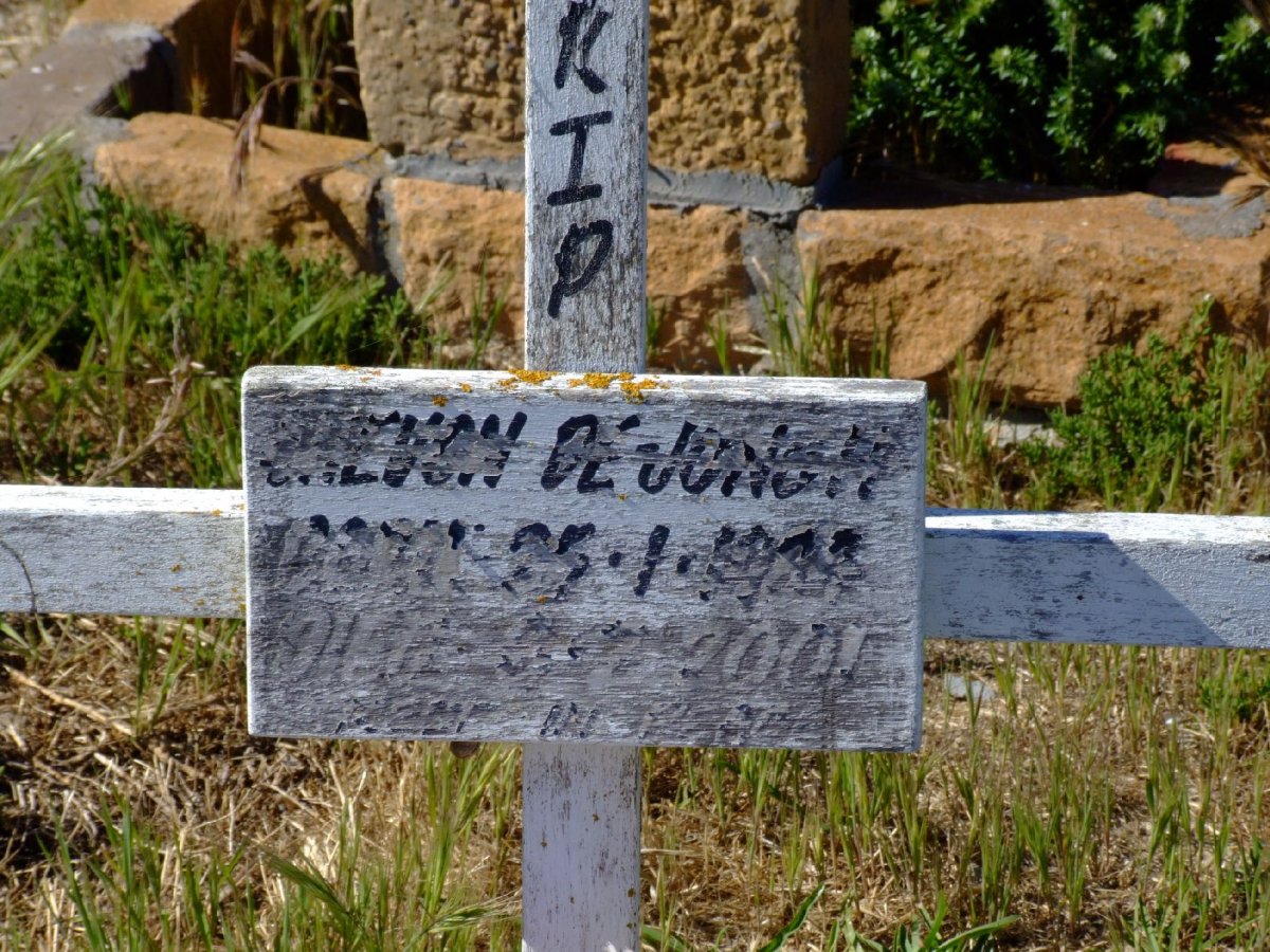 JONGH ?revon, de 1984-2001