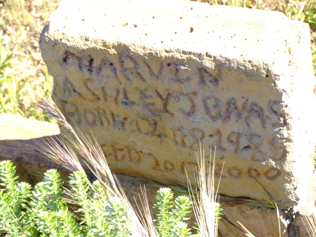 JONAS Marvin Ashley 1985-2000