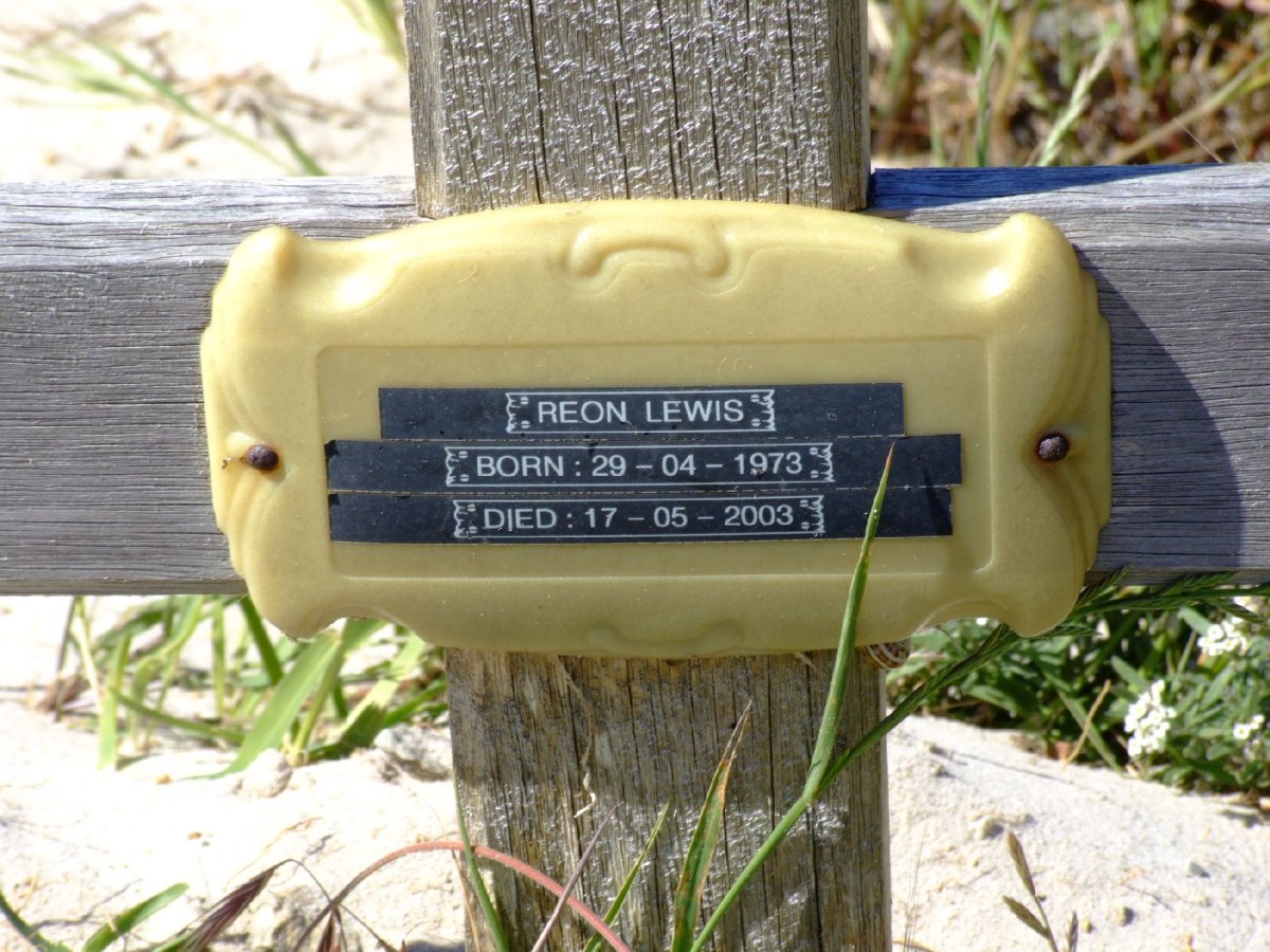 LEWIS Reon 1973-2003