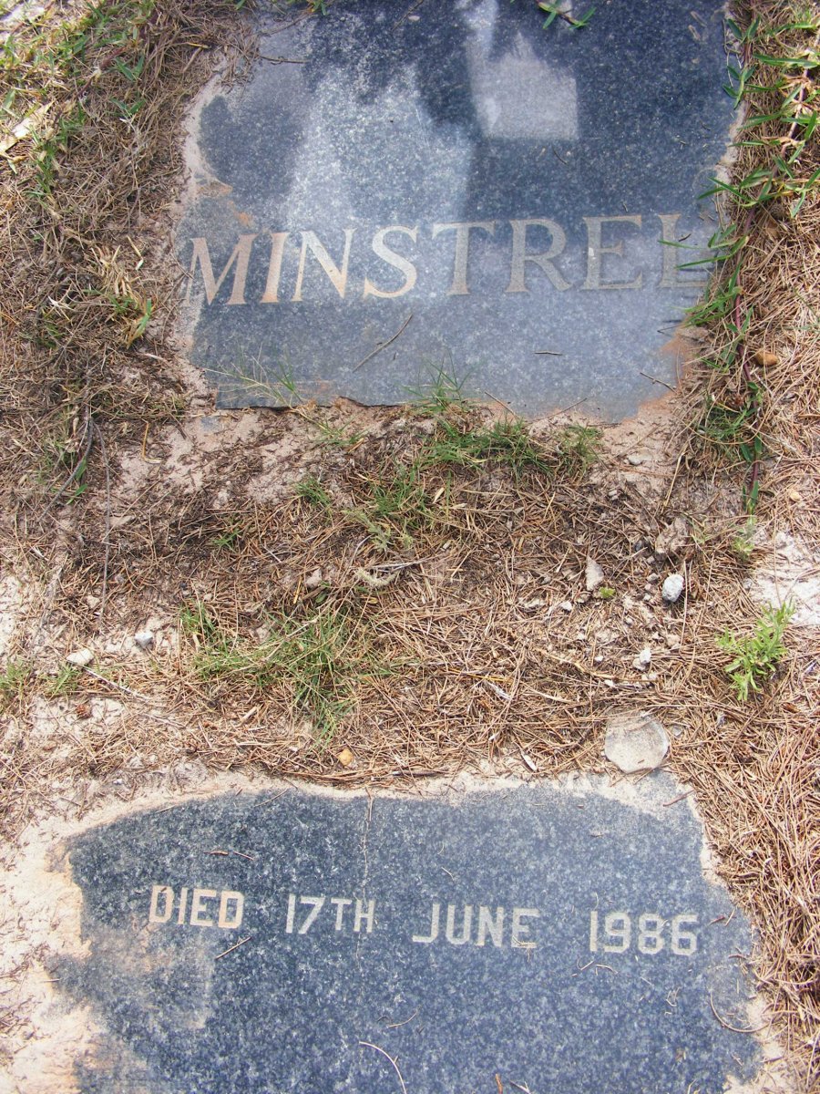 MINSTREL -1986