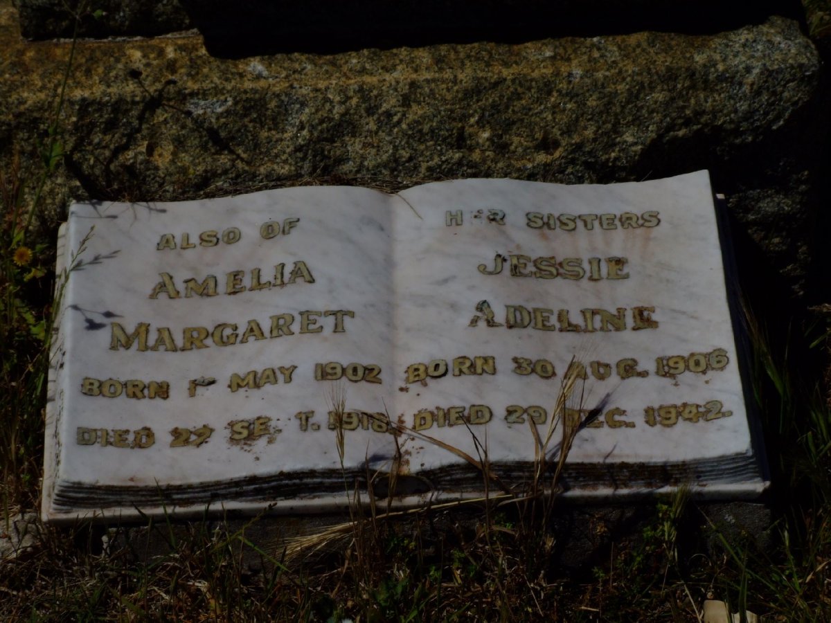 MACDOUGALL Isabel Flo 1903-1915 :: MACDOUGALL Amelia Margaret 1902-1918 :: MACDOUGALL Jessie Adeline 1906-1942