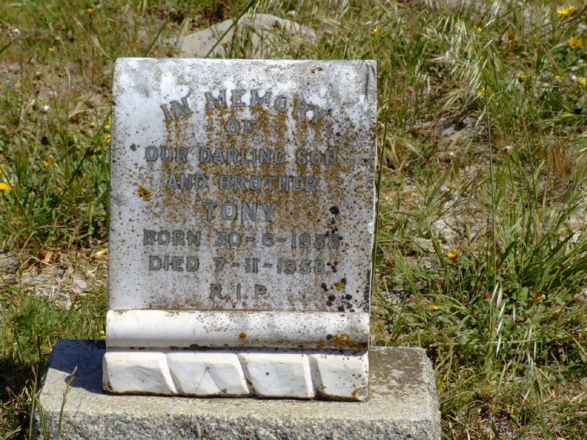 McPHAIL Tony 1935-1958