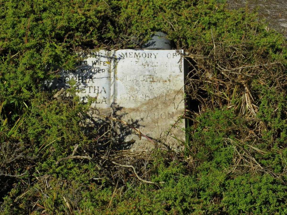 McCAHON Lachlan Michael 19?? &amp; Sophia Margaretha ?ella
