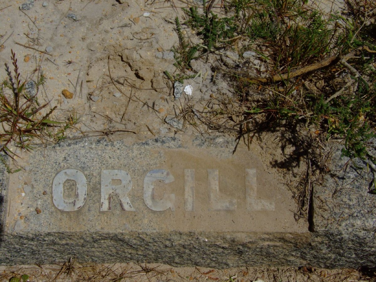 ORGILL